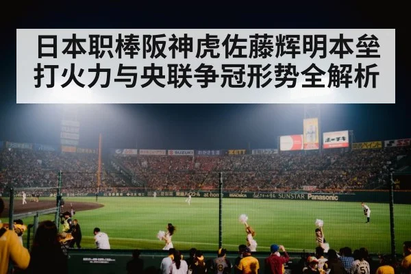 baseball stadium crowd night